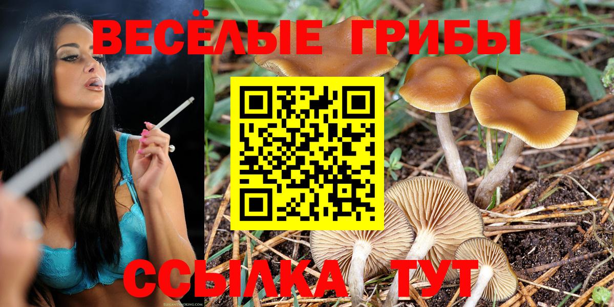 Псилоцибиновые грибы Magic Shrooms Октябрьский