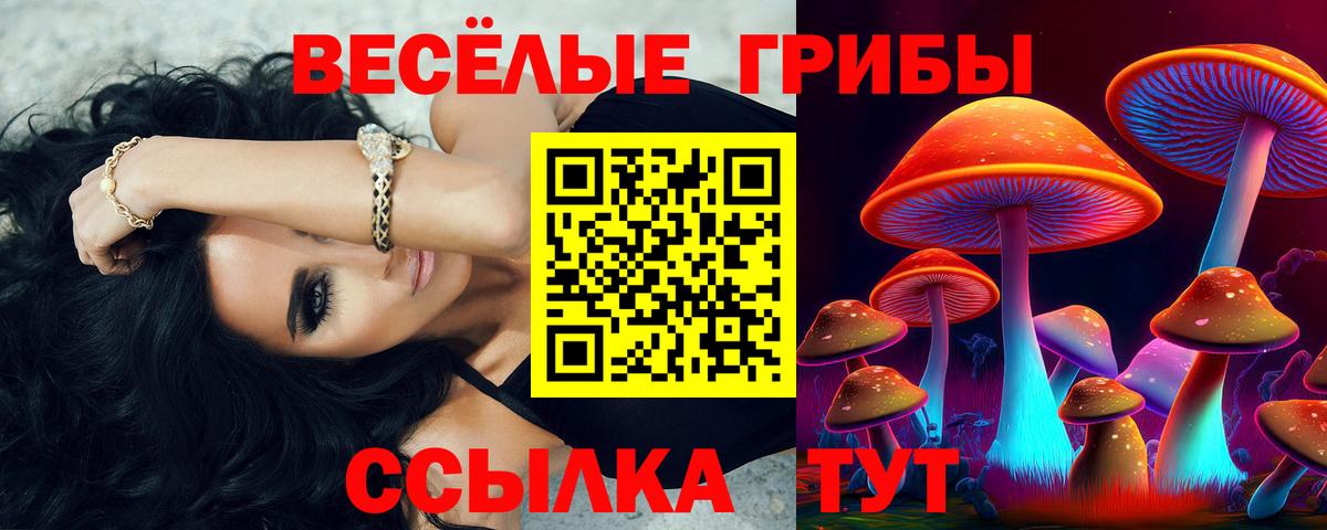 где купить наркоту  Псилоцибиновые грибы прущие грибы  Вход с VPN  Октябрьский 